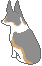 41x66