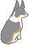 41x66
