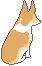 41x66
